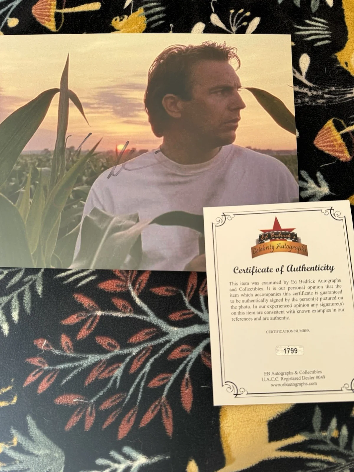 Kevin Costner — Kevin Costner signed 8x10 Field Of Dreams Yellowstone, image 2