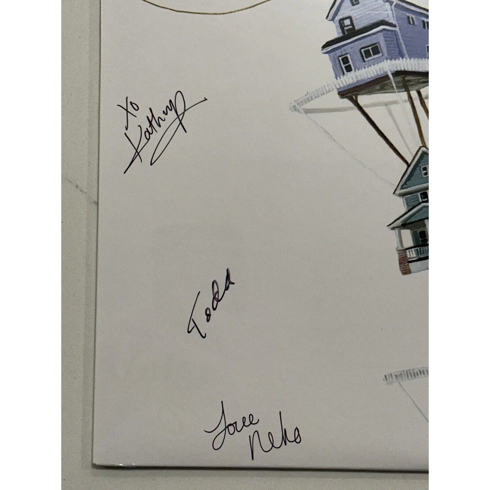 The New Pornographers band SIGNED lp album continue as a guest AUTOGRAPHED #3, изображение 3