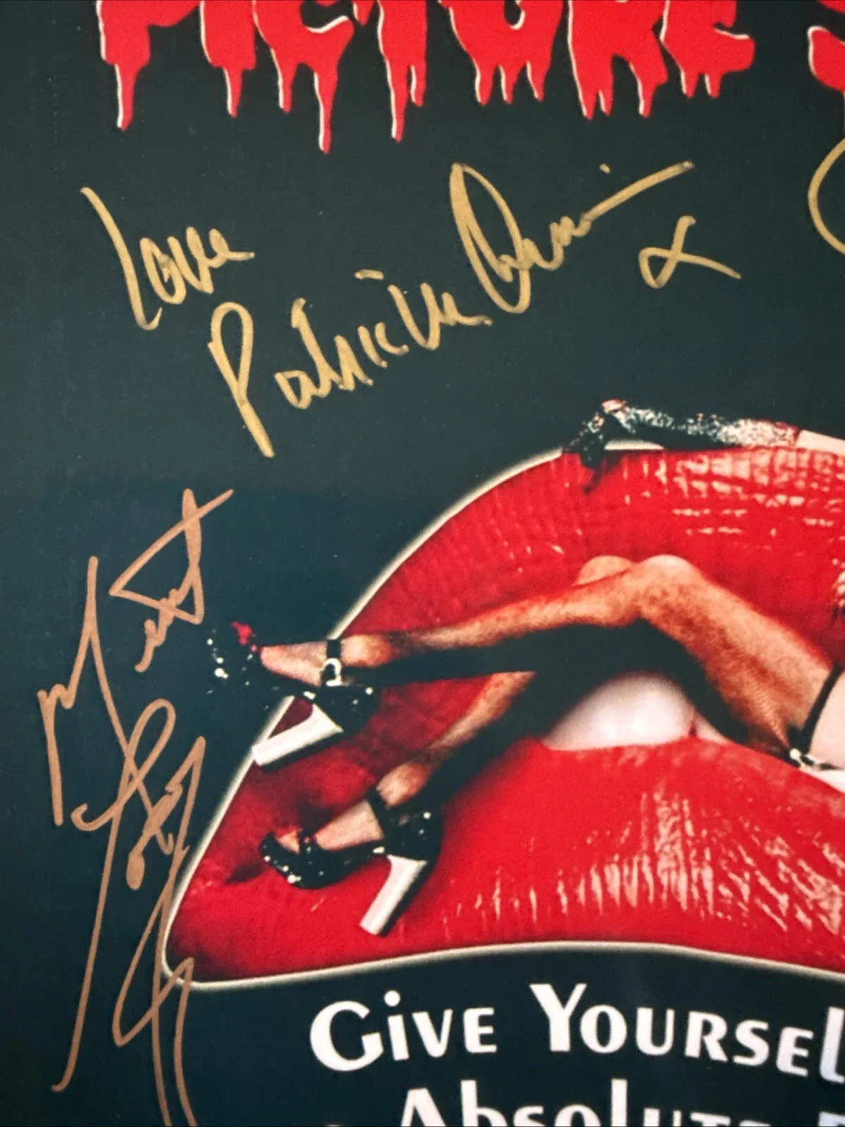 The Rocky Horror Picture Show 8x10 Multi Signed Photo Reprint Autograph Poster, изображение 2