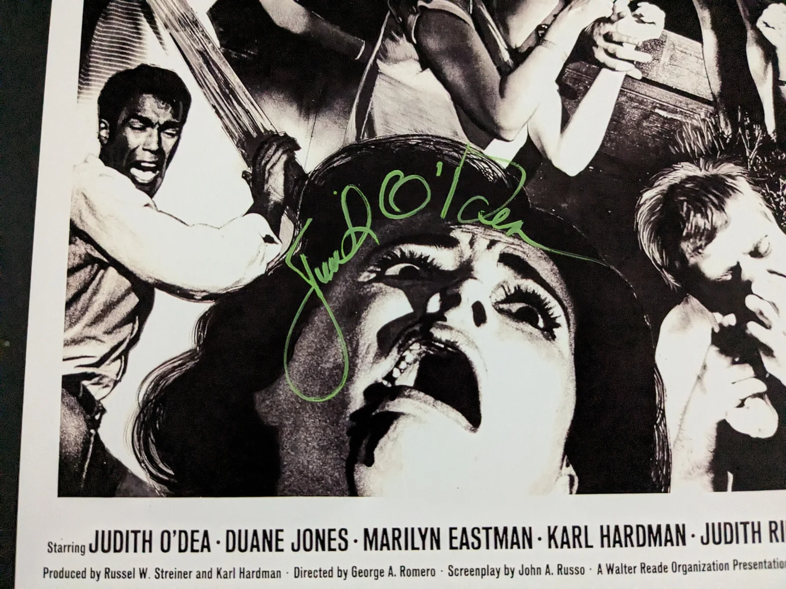 Night of the Living Dead 5X Cast — 1968 NOLD Cast 5x Signed 11x17 Poster RUSS STREINER JUDITH O'DEA + RARE JSA COA, image 3