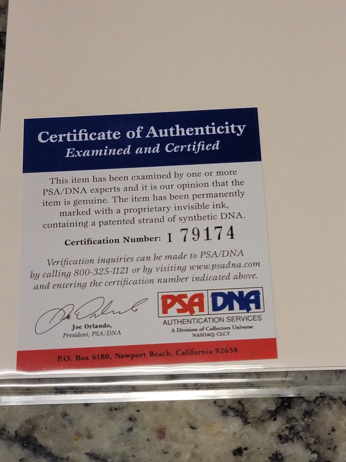 MICHELLE TRACHTENBERG SIGNED 8X10 PHOTO PSA/DNA AUTHENTICATED, изображение 4