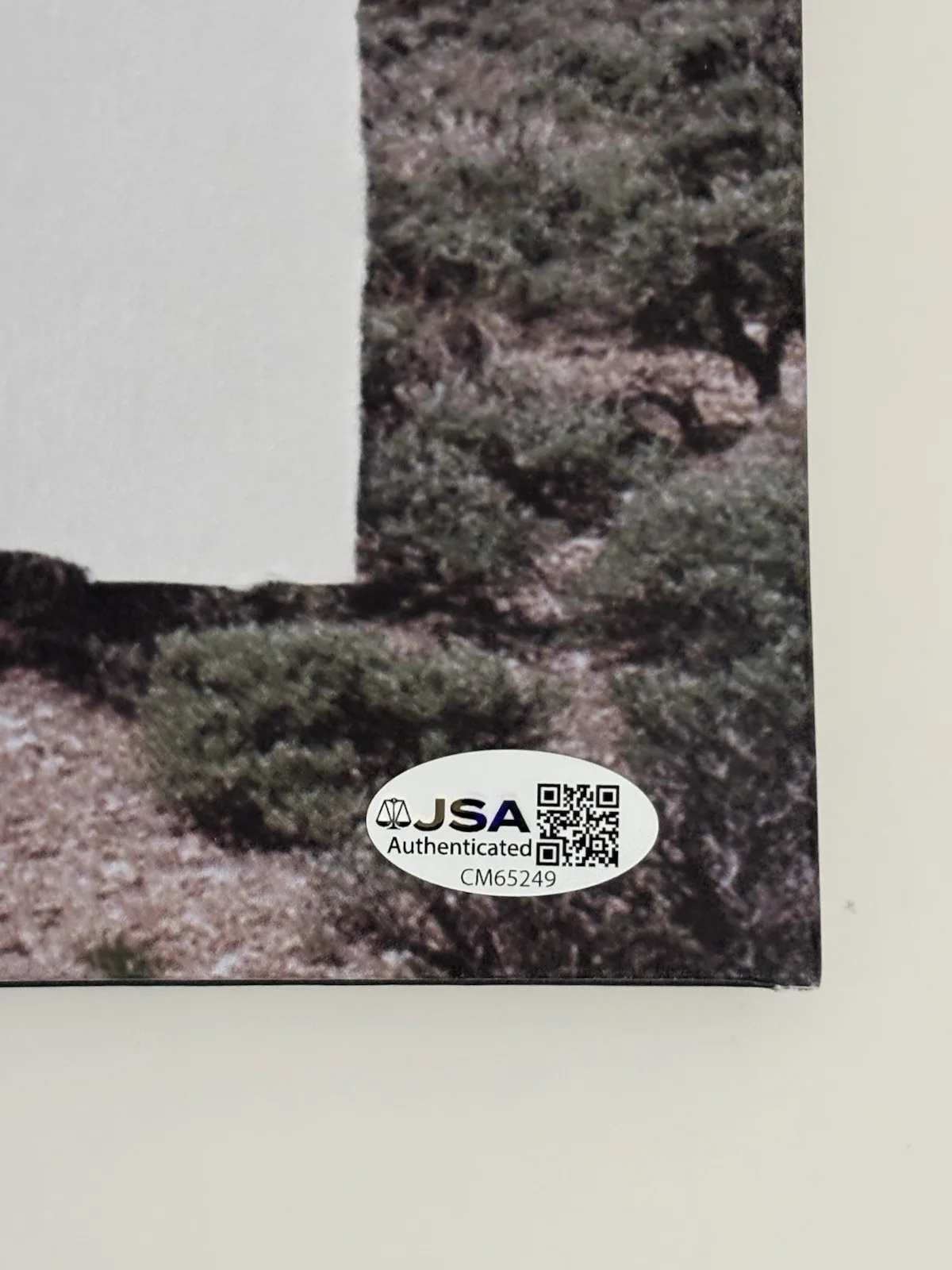 Soccer Mommy Evergreen LP Vinyl Signed Autographed JSA COA, изображение 3