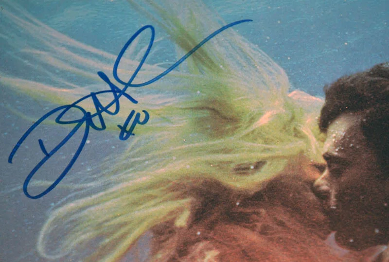 TOM HANKS, DARYL HANNAH — SPLASH Signed TOM HANKS & DARYL HANNAH Autograph Color Photo, FRAME, Plaque, DVD, изображение 5