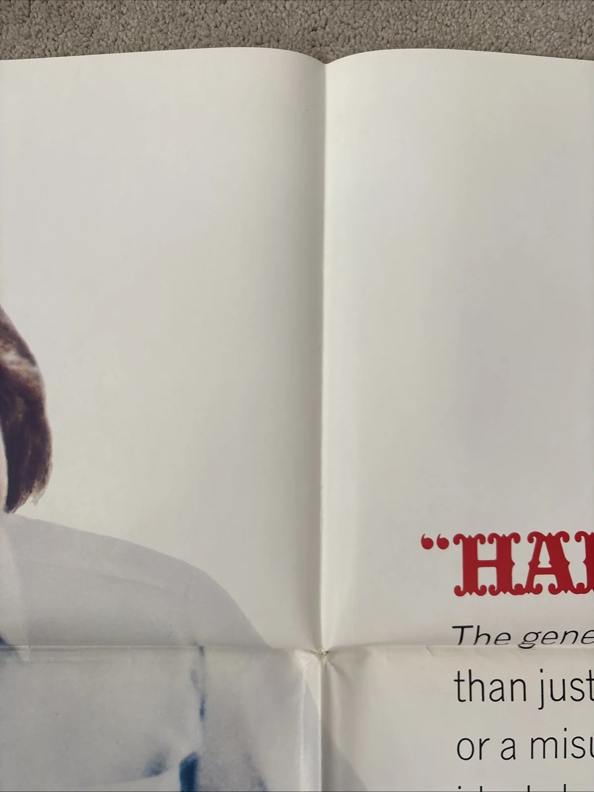 Hail, Hero (1969) Original US One Sheet Movie Poster, изображение 3