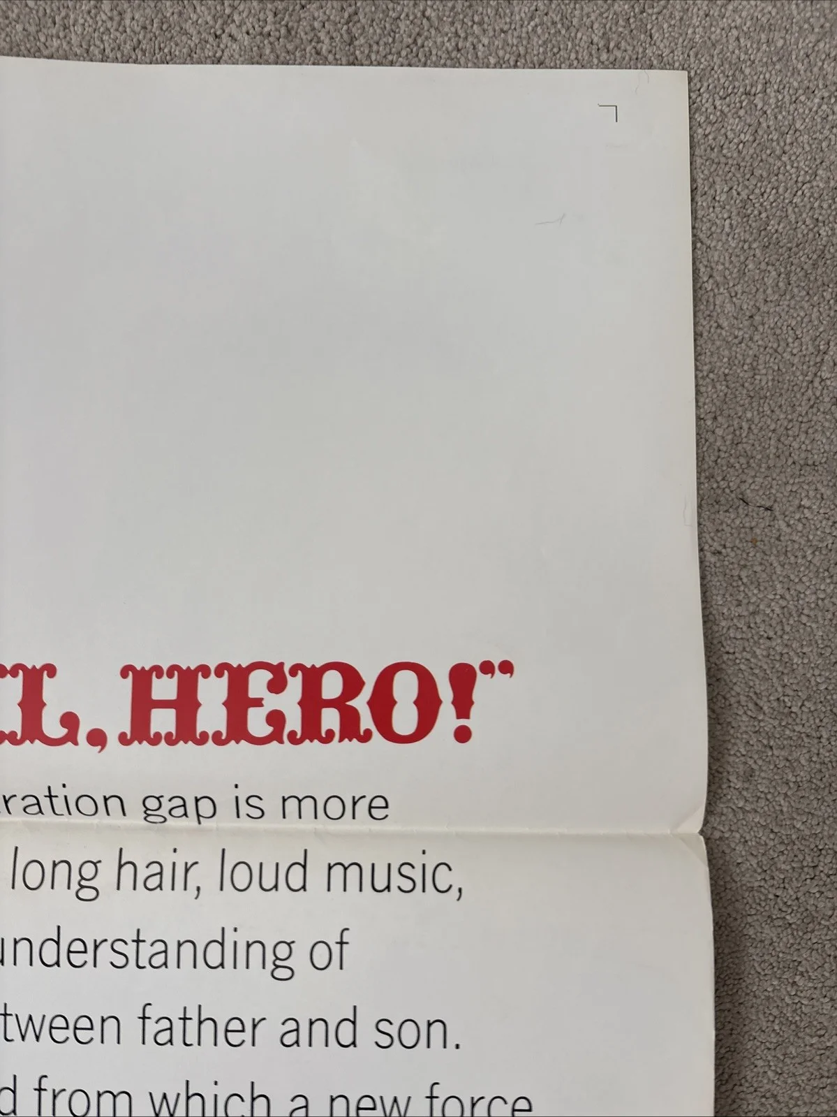 Hail, Hero (1969) Original US One Sheet Movie Poster, изображение 4