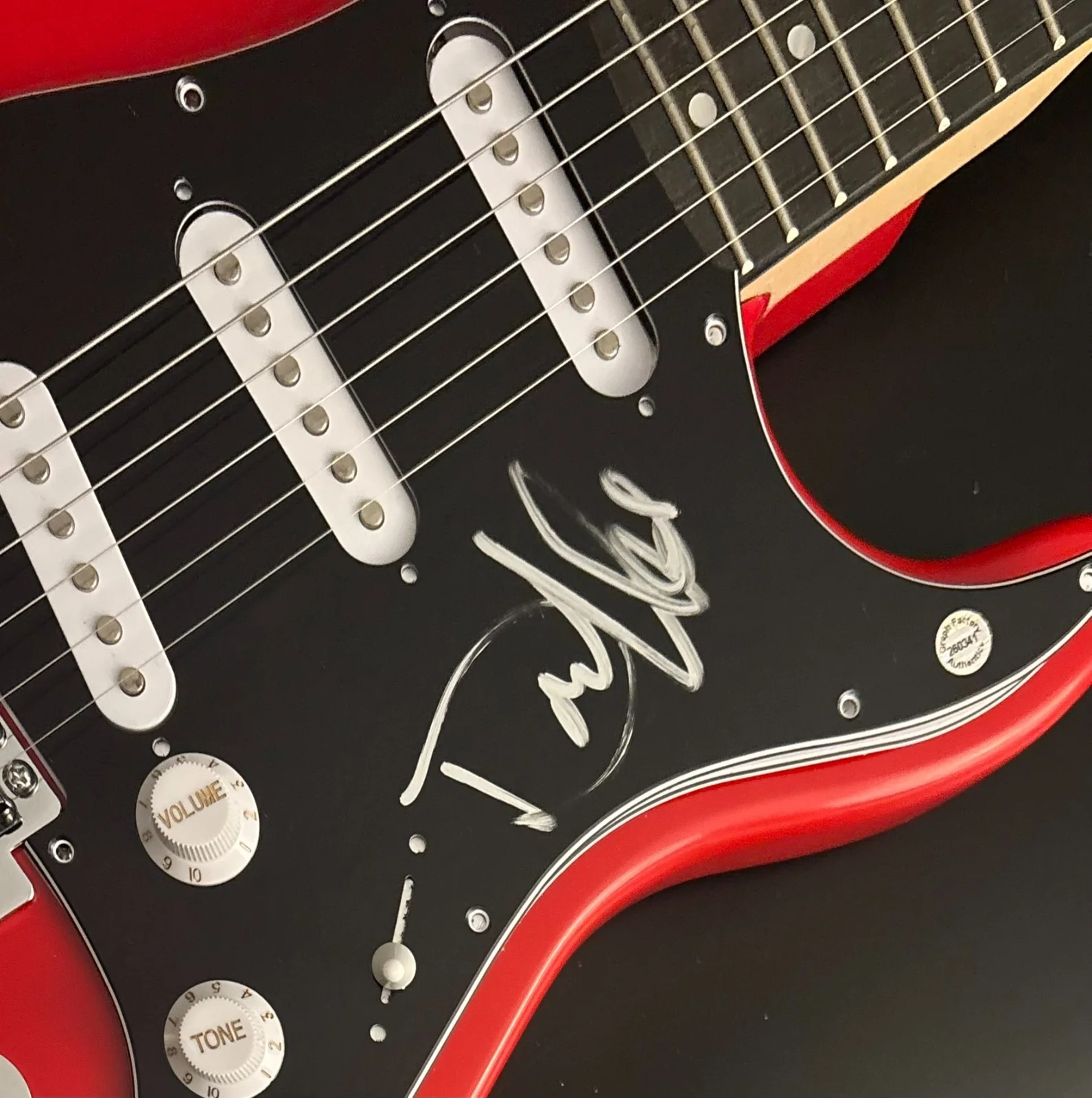 GFA Enuff Z'Nuff Singer * DONNIE VIE * Signed Electric Guitar COA, изображение 4