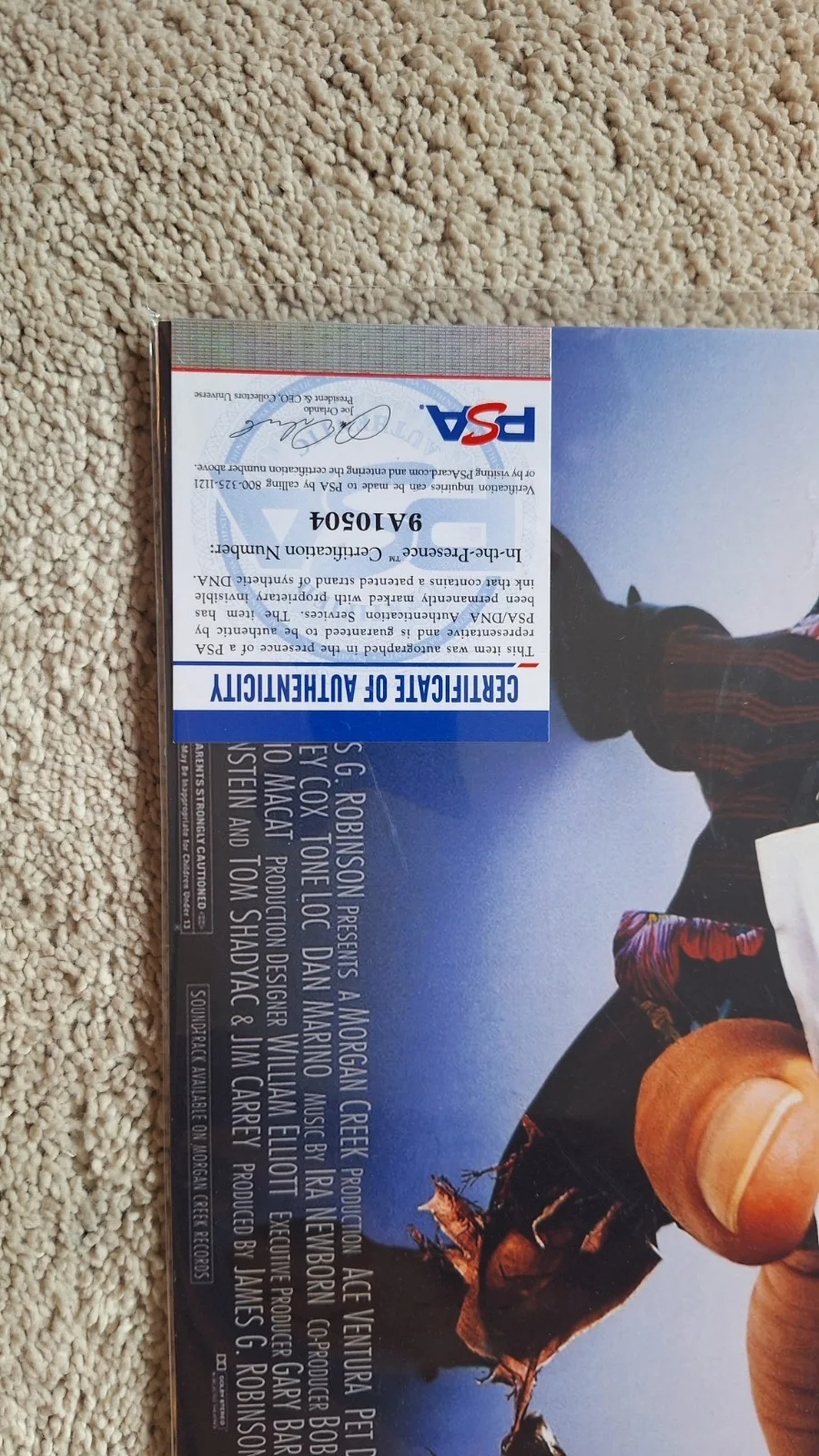 Sean Taylor — Ace Ventura Pet Detective Sean Young Signed Movie Poster Autograph PSA, изображение 3