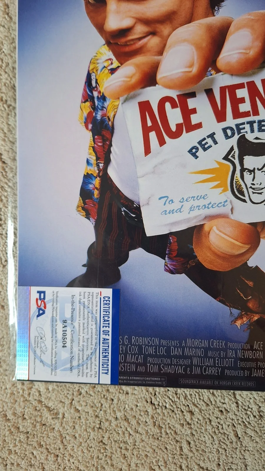 Sean Taylor — Ace Ventura Pet Detective Sean Young Signed Movie Poster Autograph PSA, изображение 4