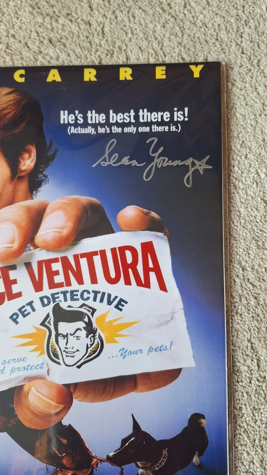 Sean Taylor — Ace Ventura Pet Detective Sean Young Signed Movie Poster Autograph PSA, изображение 5