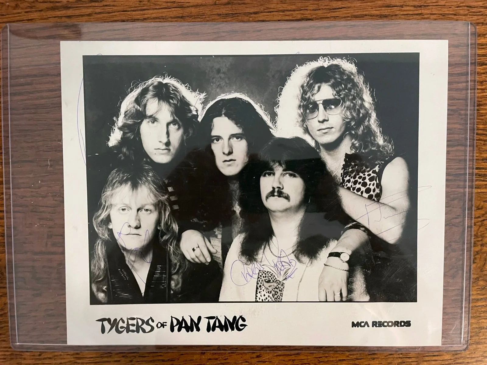 Tygers Pan Tang Signed MCA Promo Photo 1982 NWOBHM Autograph Band 8x10, изображение 2