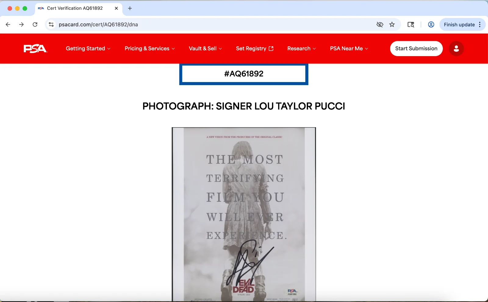 Lou Taylor Pucci — Lou Taylor Pucci signed 8x10 photo autograph PSA DNA Evil Dead poster image, изображение 3