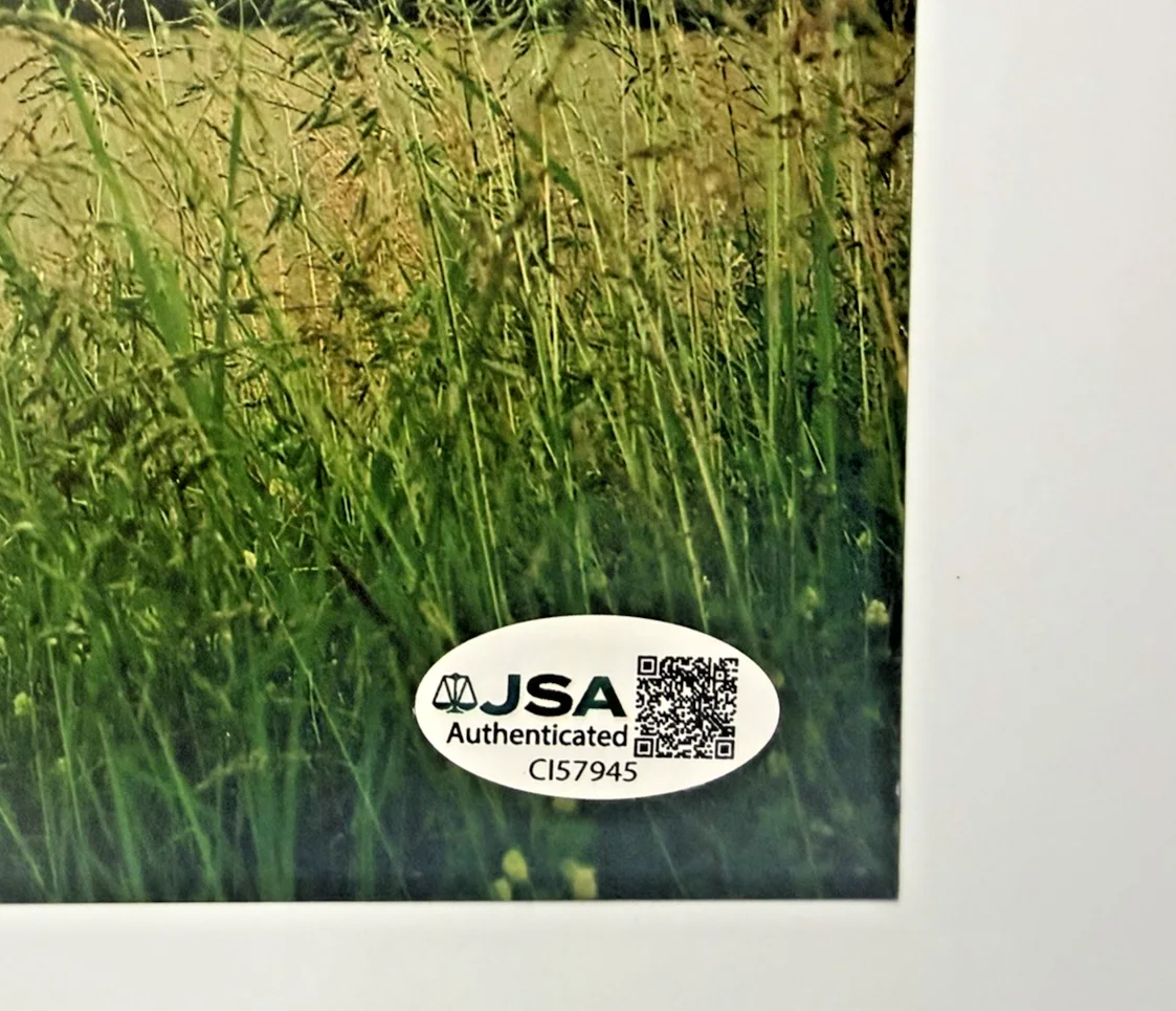 Daniel Donato Signed 8x10 Photo Autographed JSA COA Certified Cosmic Country, изображение 4