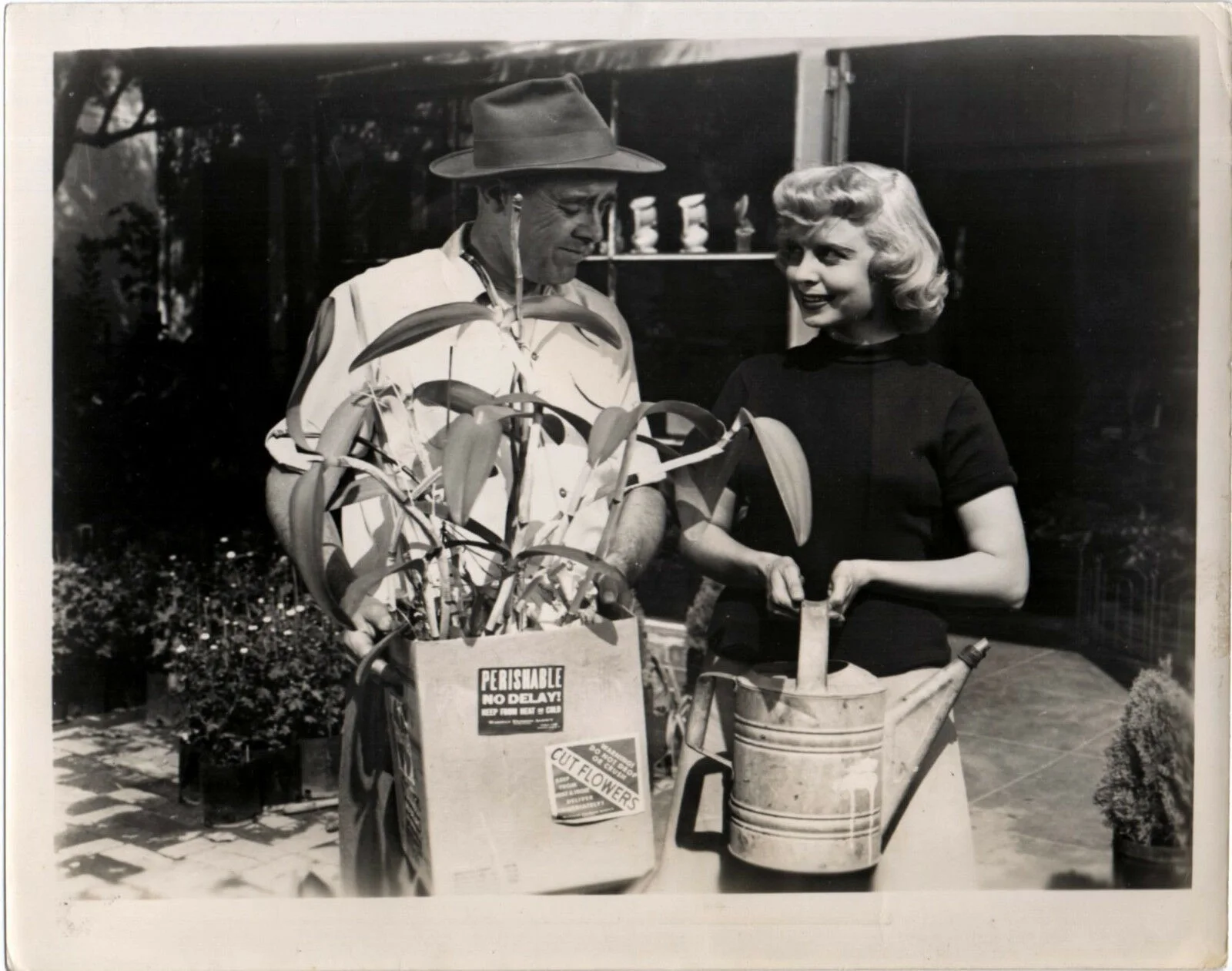 WITHOUT WARNING 1952 Adam Williams, Meg Randall, Angela Stevens 5 10x8 STILLS, image 4