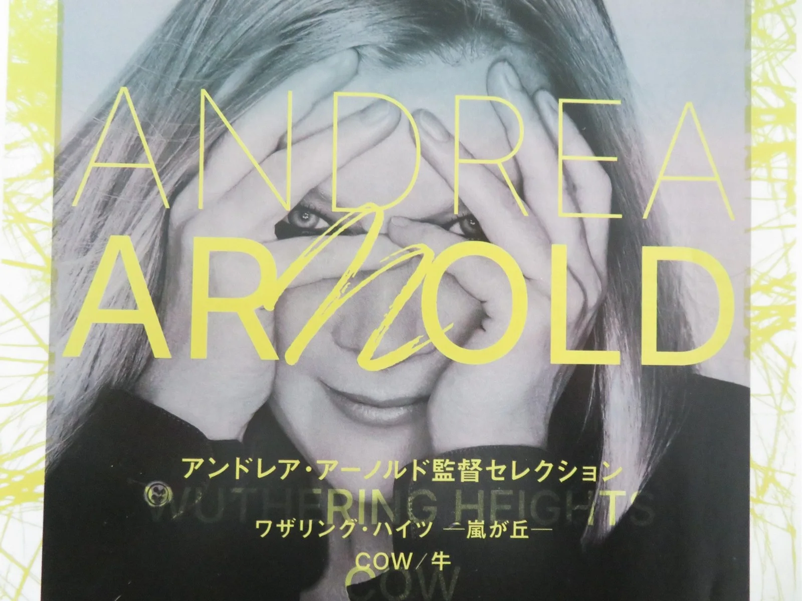 Andrea Arnold Movie Collection Japanese Chirashi (B5) Poster Keoghan 2026, изображение 2