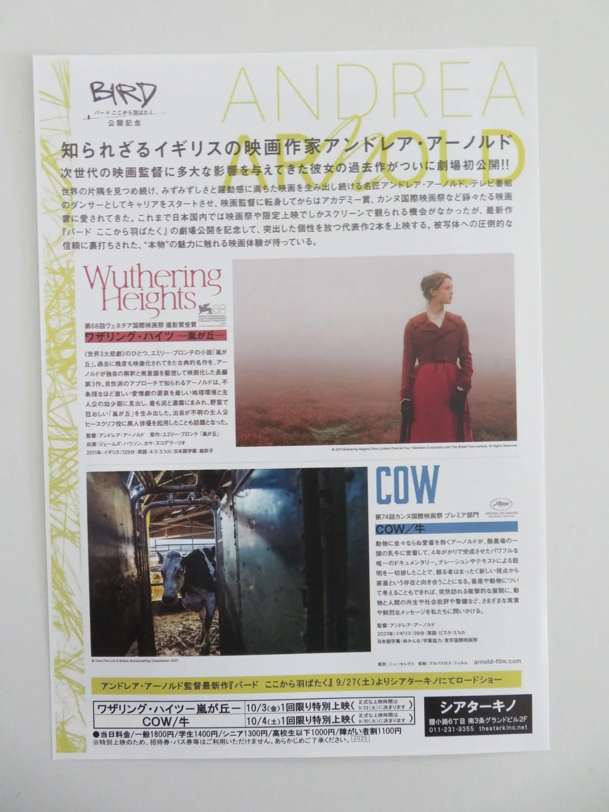 Andrea Arnold Movie Collection Japanese Chirashi (B5) Poster Keoghan 2026, изображение 3