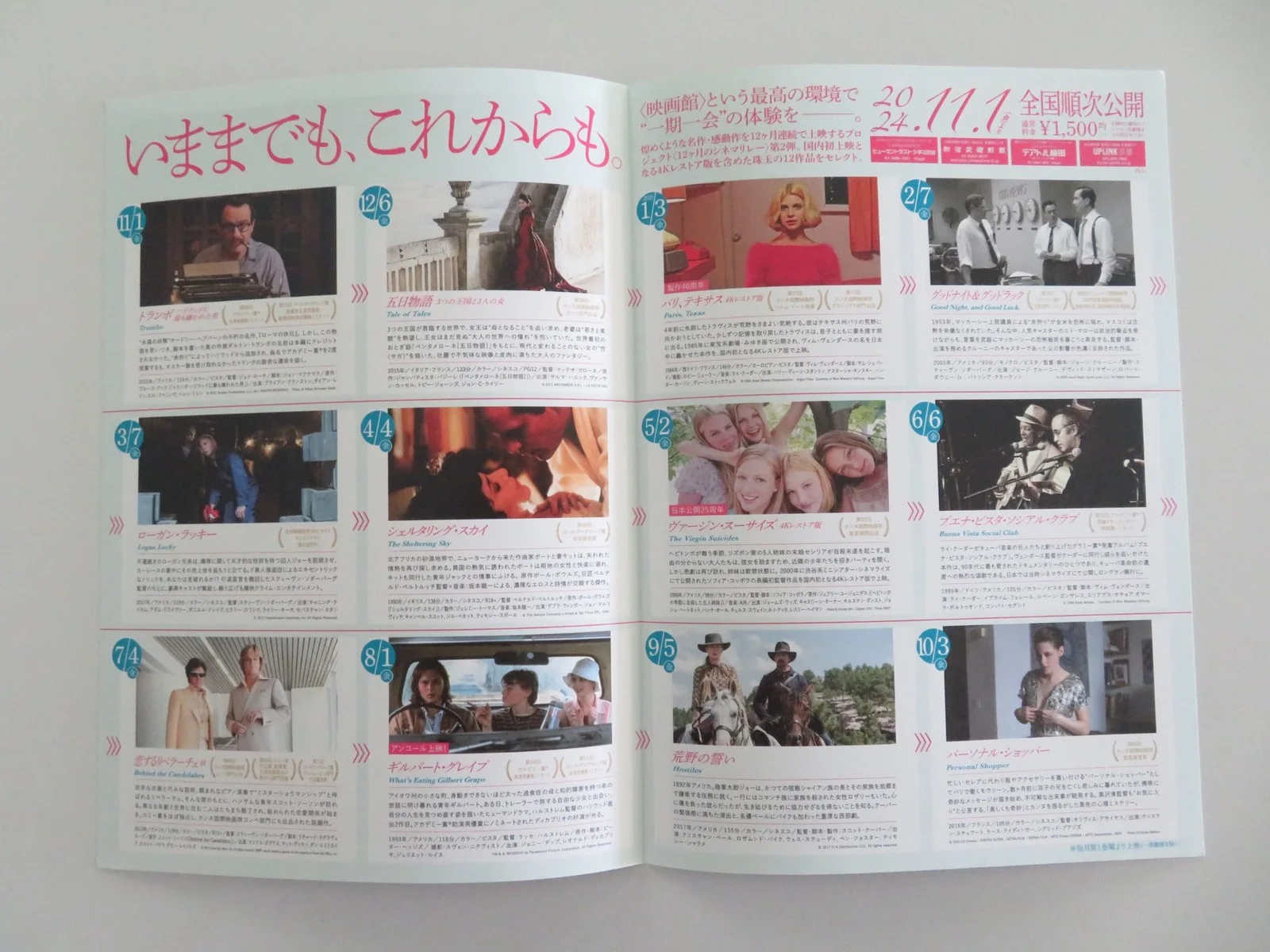 Paris, Texas & The Virgin Suicides Japanese Chirashi (B5) Poster Stanton R2024, image 2