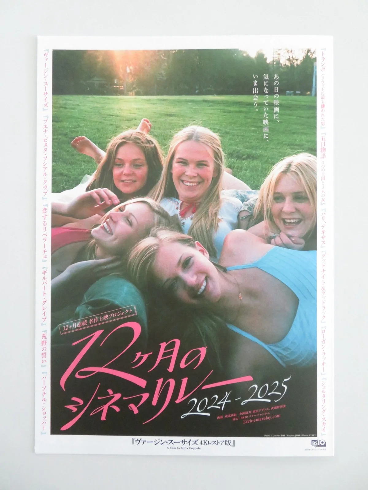 Paris, Texas & The Virgin Suicides Japanese Chirashi (B5) Poster Stanton R2024, image 3