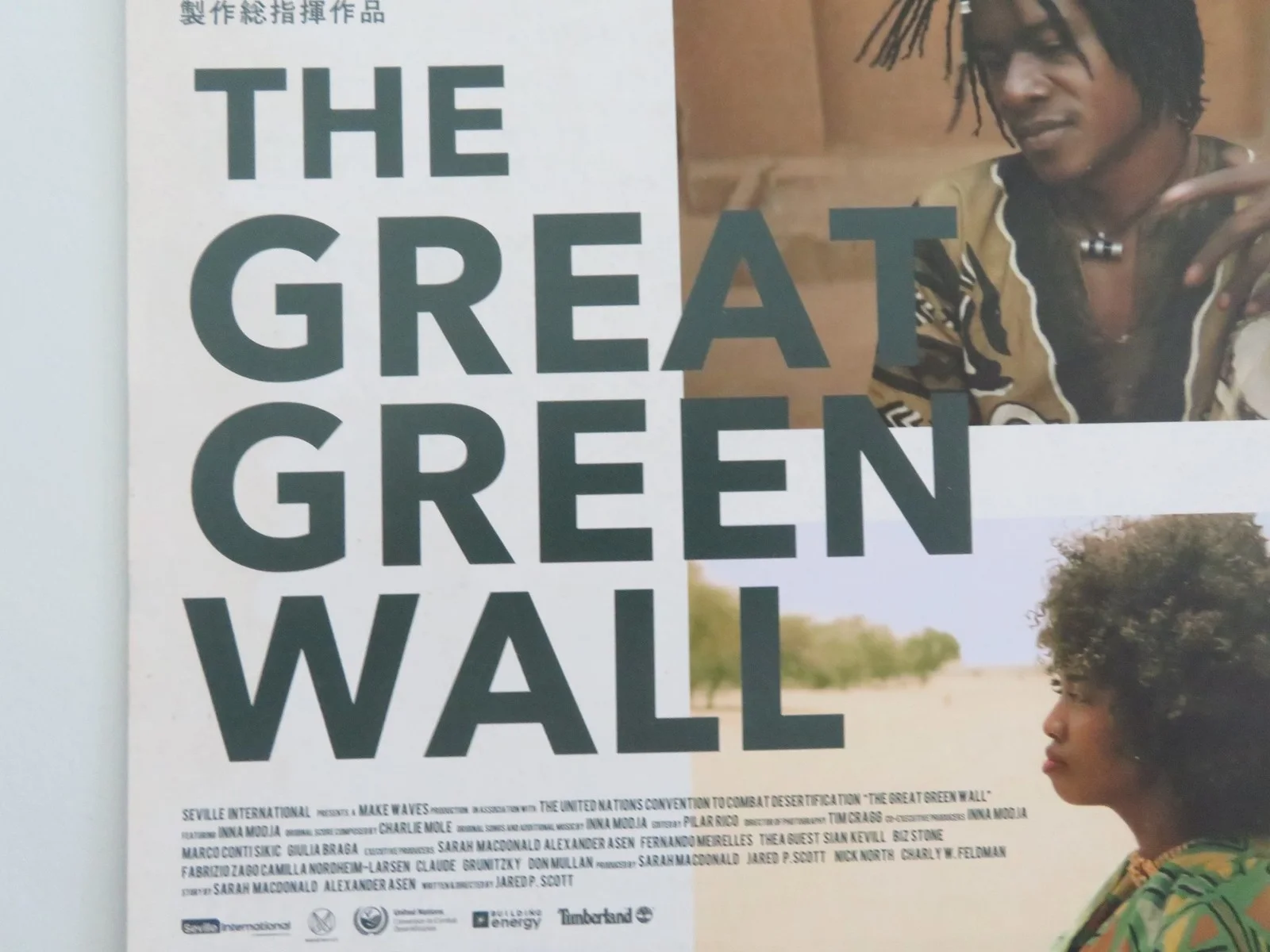 The Great Green Wall Japanese Chirashi (B5) Poster Inna Modja Blues 2019, изображение 2