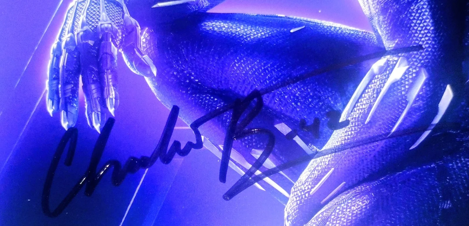 Chadwick Boseman Hand Signed 8x10 Photo COA Black Panther NO US TARIFFS, изображение 3