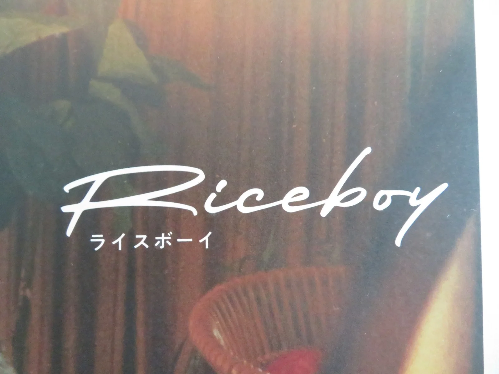 Riceboy Sleeps Japanese Chirashi (B5) Poster Choi Seung-yoon Hwang 2022, image 2