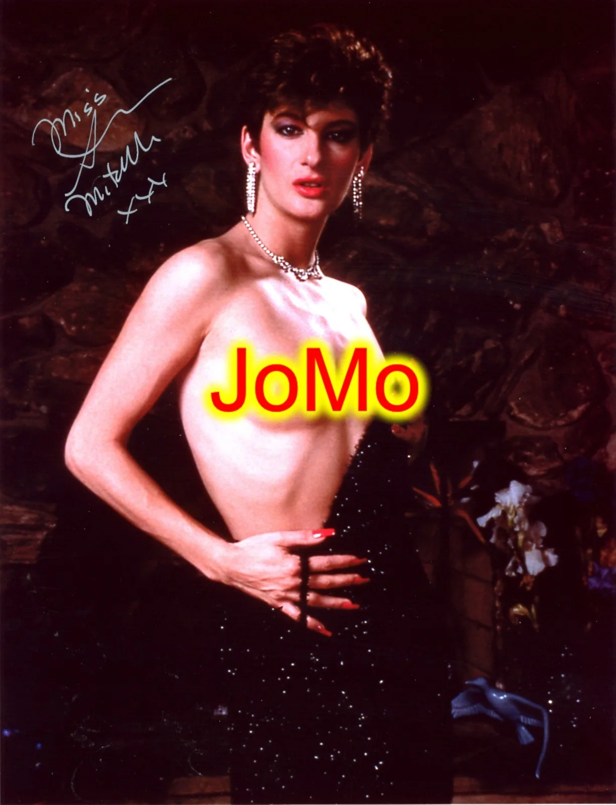 Miss Sharon Mitchell — Miss Sharon Mitchell ( Adult Film Star ) 8.5 X 11 Autograph Photo #6