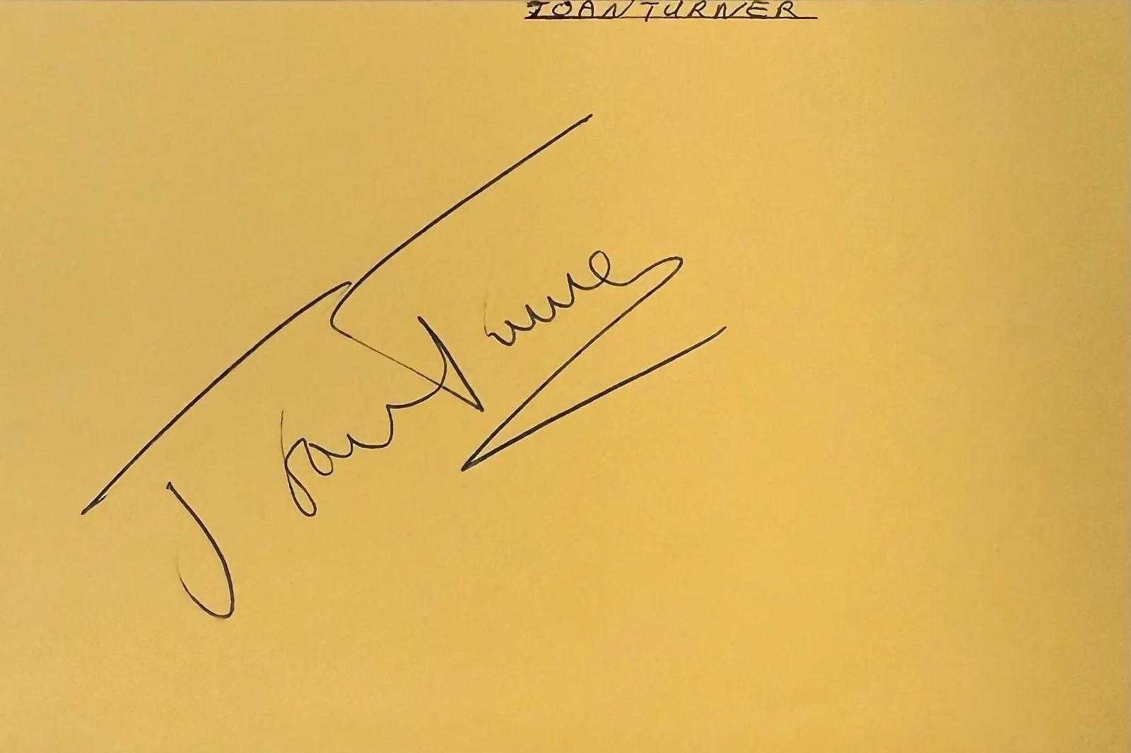 Joan Turner — JOAN TURNER Signed Autograph 4x6 ALBUM PAGE No Surrender In Her Shoes EASY MONEY, изображение 3