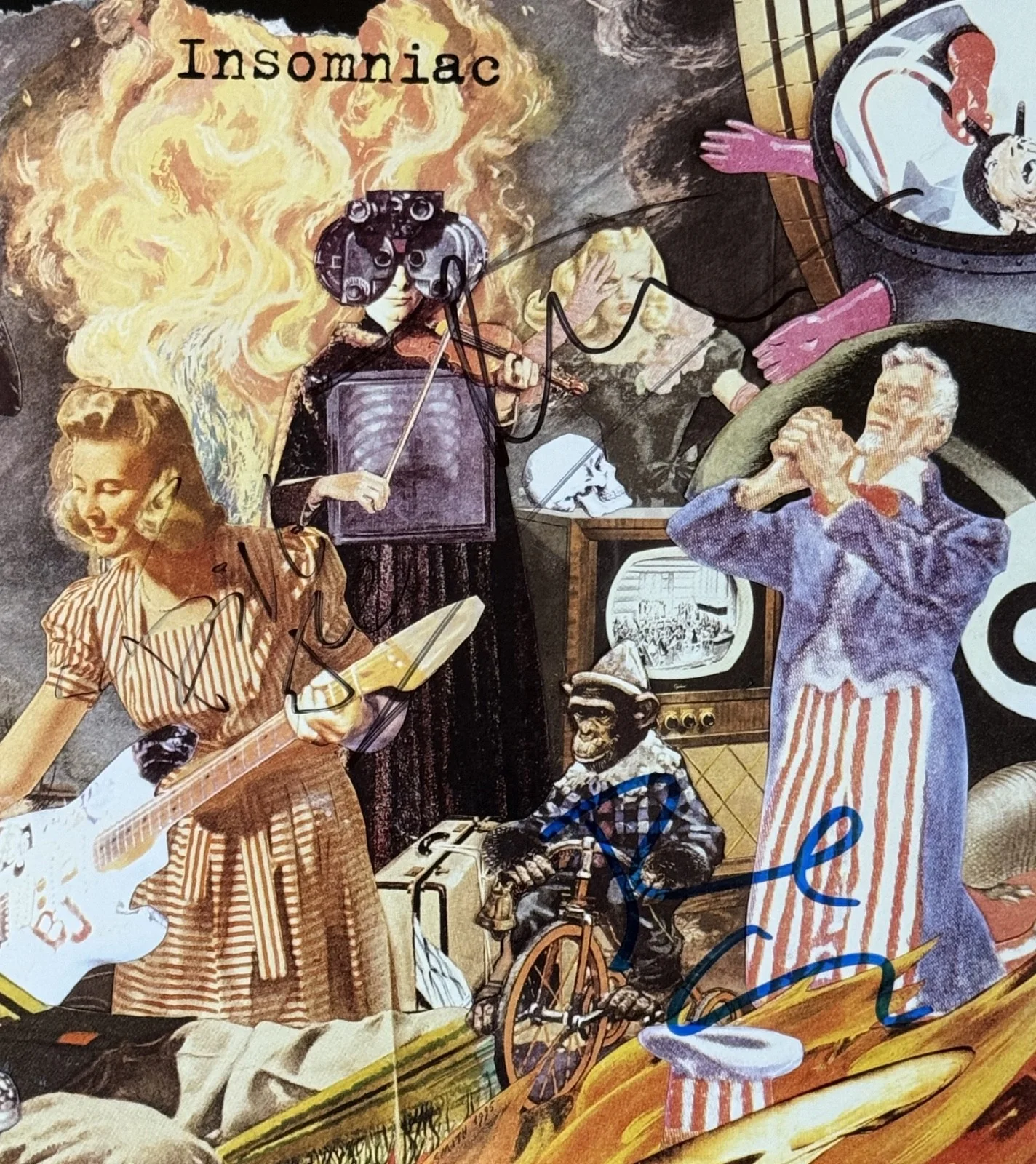 Billie Joe Armstrong Tre Cool Mike Dirnt SIGNED Auto Insomniac Green Day LP ACOA, image 3