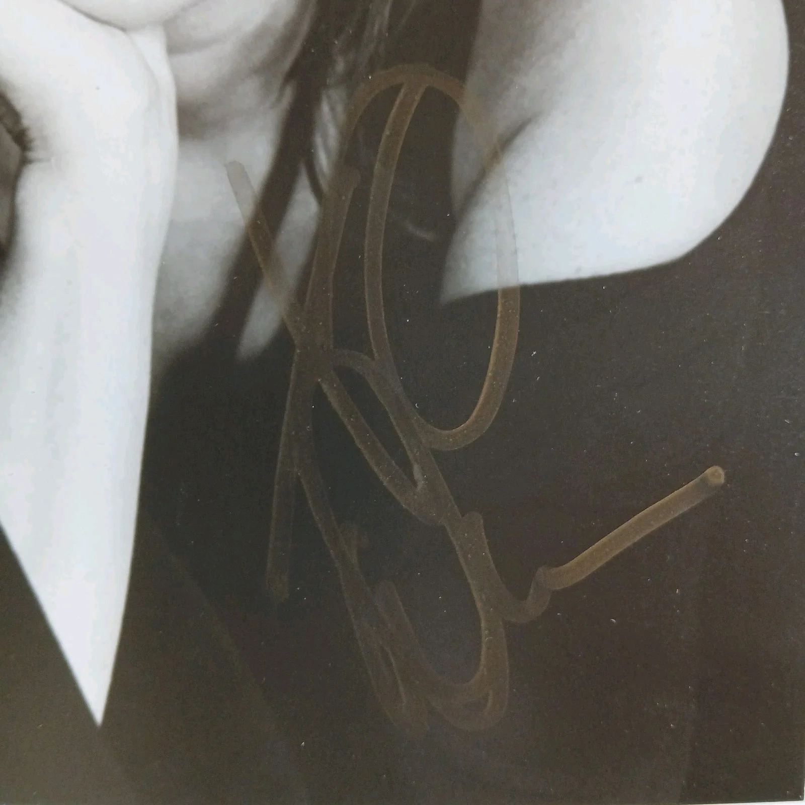 donna karan — donna karan signed 8x10 photo fashion designer vintage 1990s, изображение 3