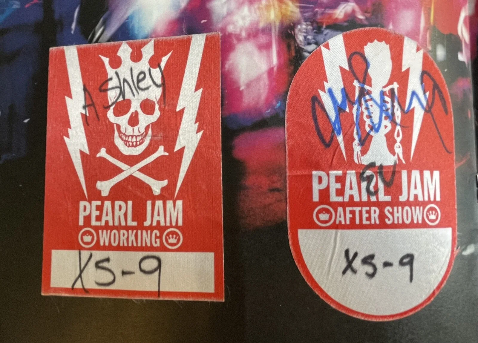 Pearl Jam SIGNED 03' Riot Act Tour Progam Eddie Vedder Mike Matt Boom Stone ACOA, изображение 5