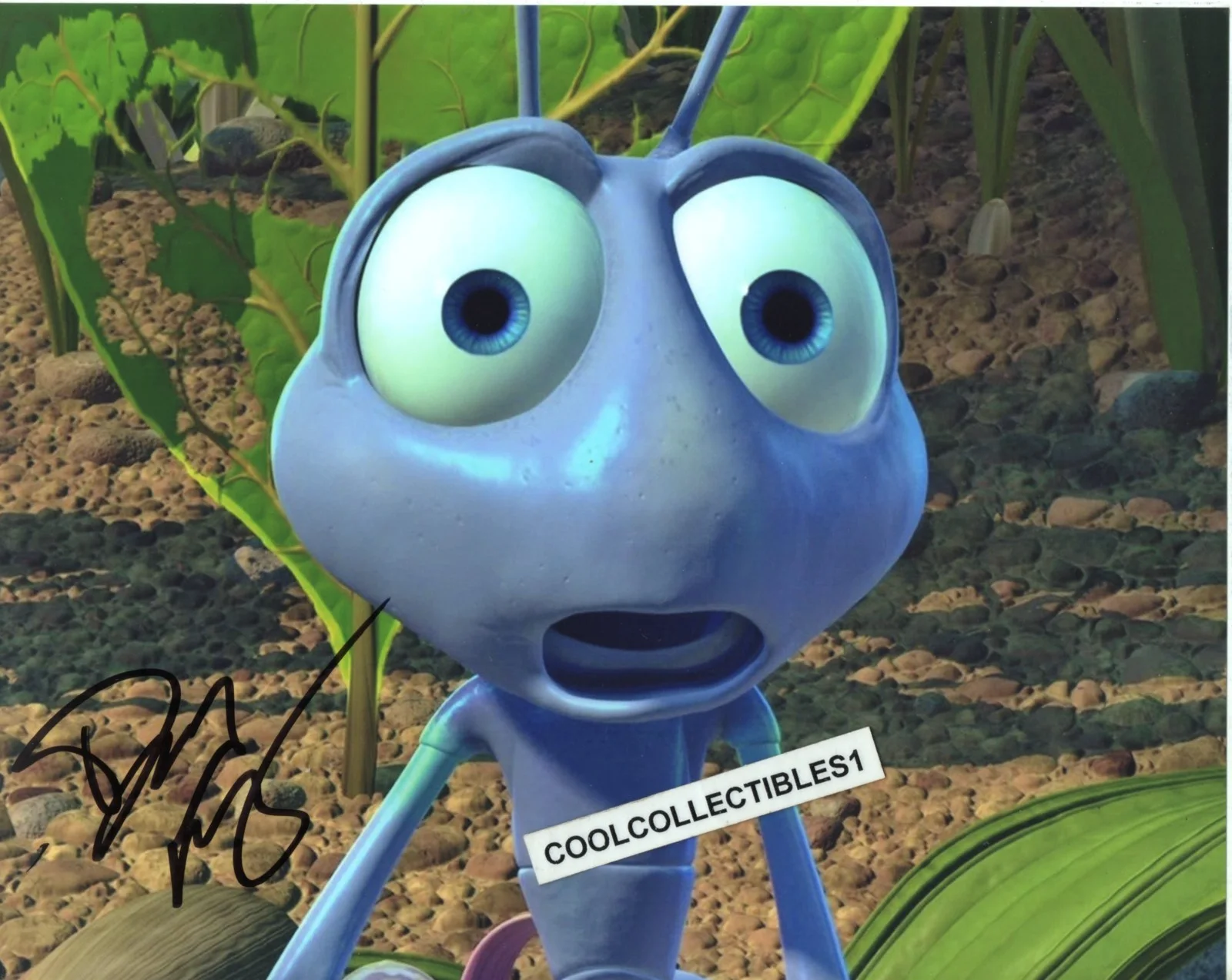 DAVE FOLEY — DAVE FOLEY "A BUG'S LIFE" IN PERSON SIGNED 8X10 COLOR PHOTO 2 COA "PROOF"