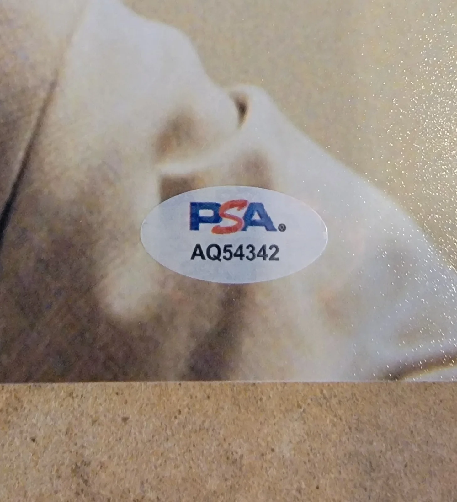 Al Pacino — Al Pacino signed 11x14 photo autograph PSA DNA The Godfather Part II 2 AQ54342, изображение 2