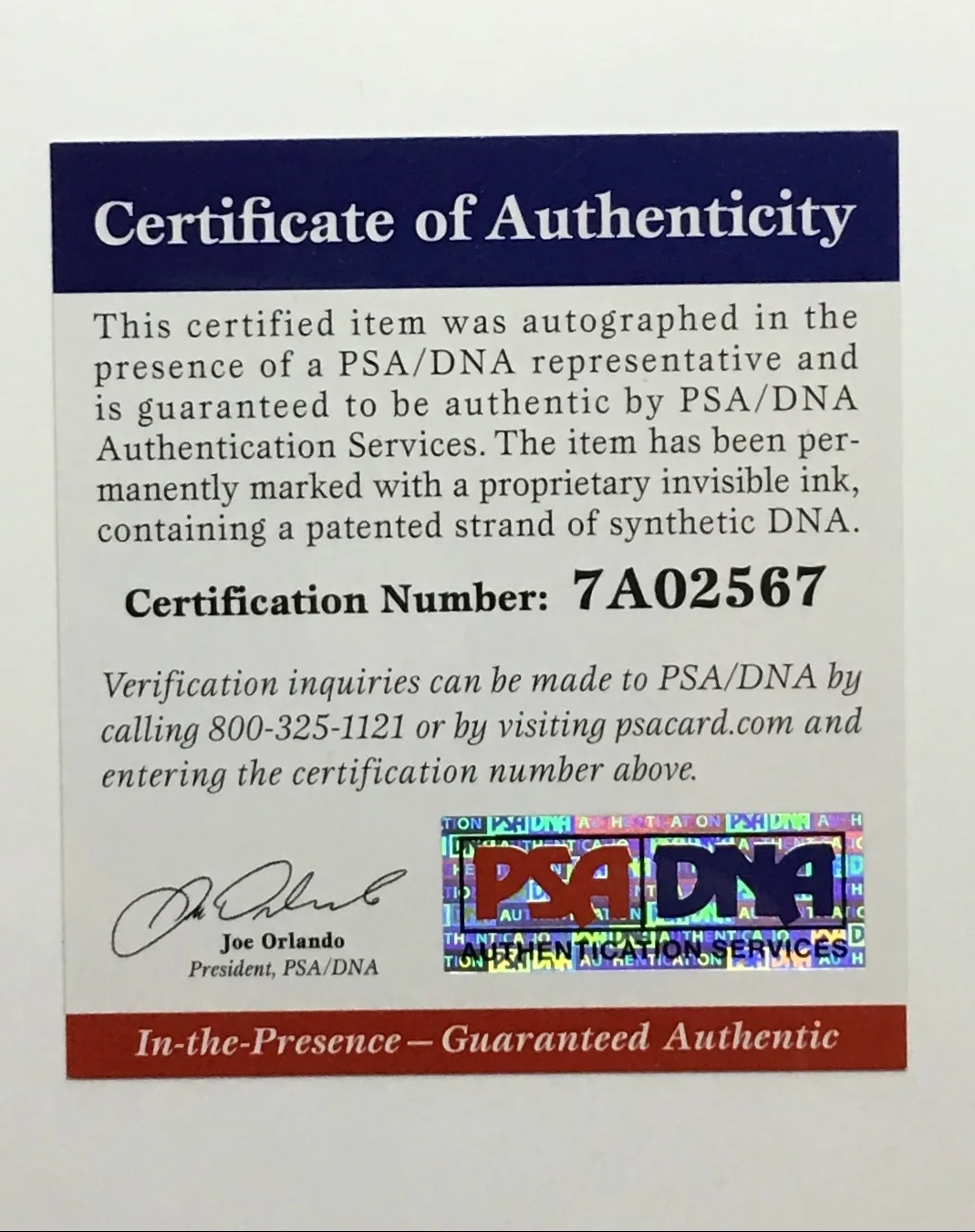 ALICE COOPER *ITP* AUTOGRAPHED HAND SIGNED 2016 LEAF POP CENTURY PSA/DNA PHOTO, image 2