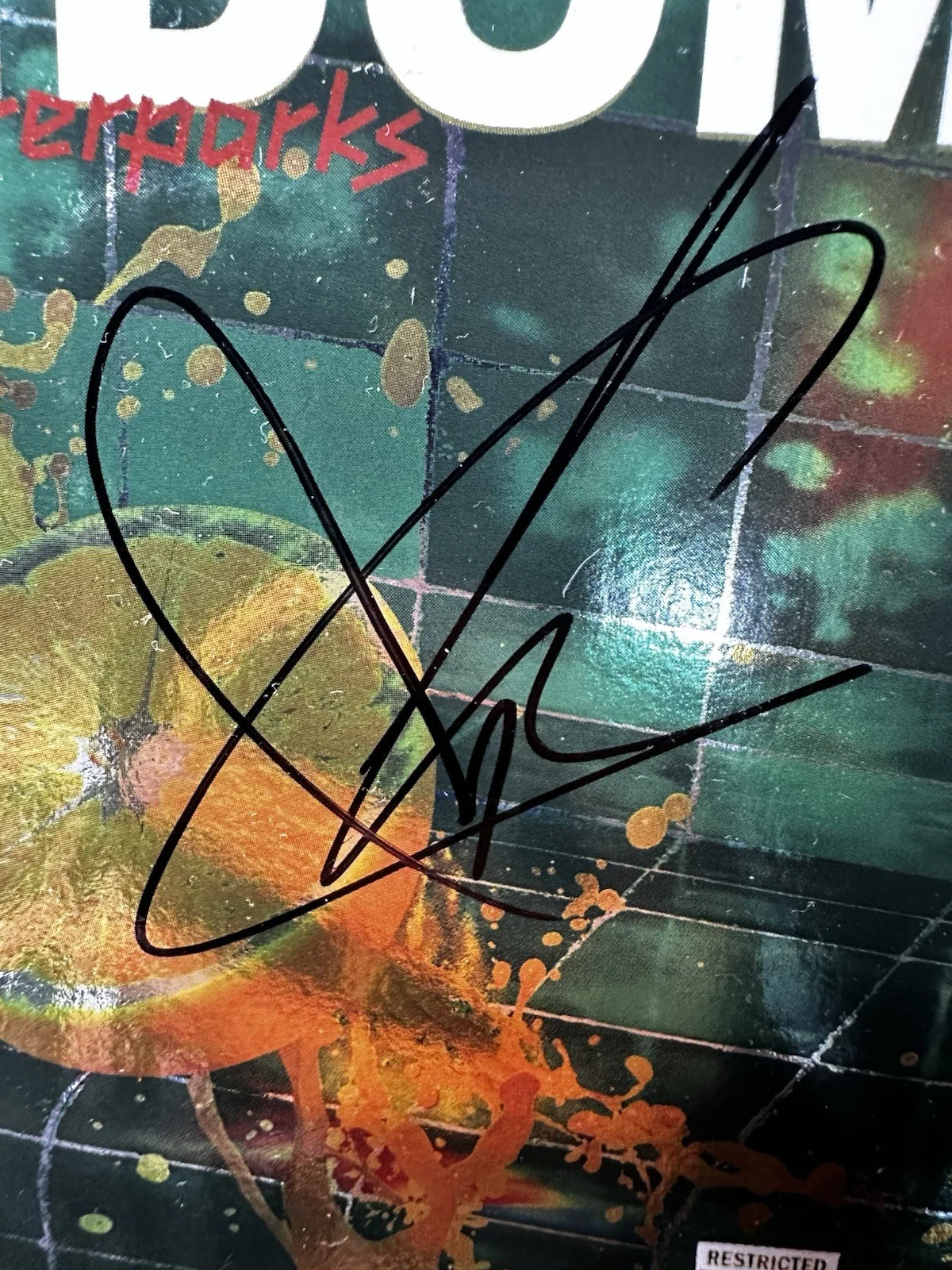 waterparks signed fandom album and show guitar pick bundle, image 2