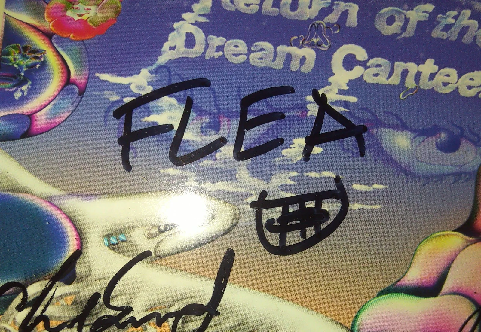 Red Hot Chili Peppers Hand Signed CD Dream Canteen PSA COA Framed NO TARIFFS, image 5