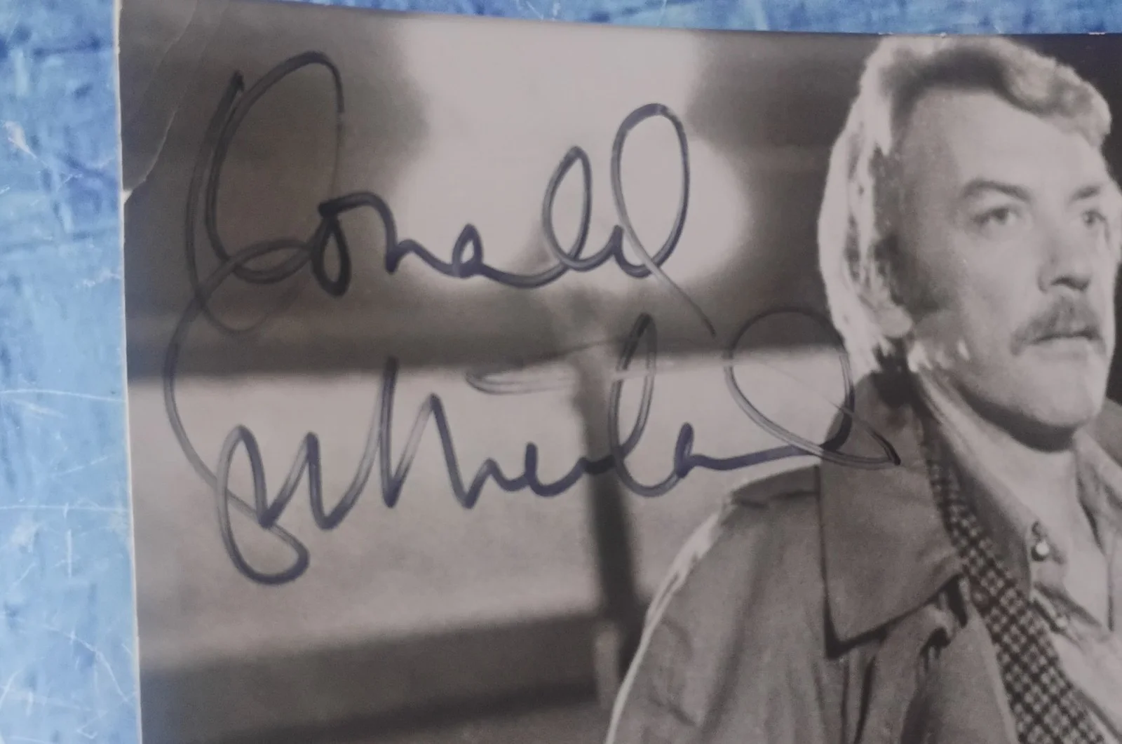 Donald Sutherland Hand Signed Autograph JSA COA 8x10 Photo NO US TARIFF, изображение 3