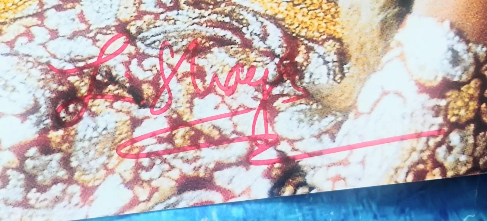 Lin Shaye Hand Signed 8x10 Photo COA There's Something About Mary NO TARIFFS, изображение 3