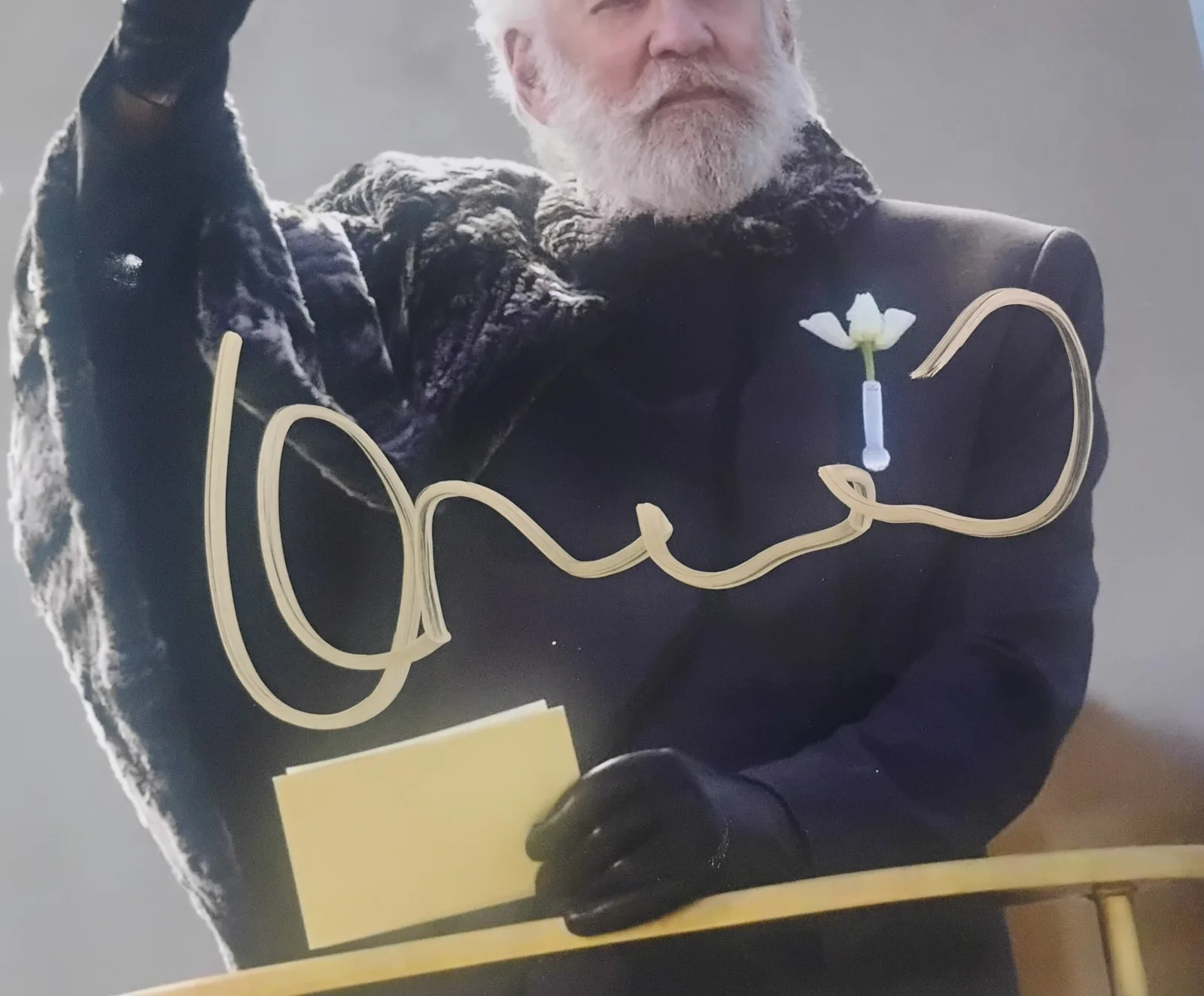 Donald Sutherland Hand Signed Autograph 8x10 Photo COA Hunger Games NO US TARIFF, image 3