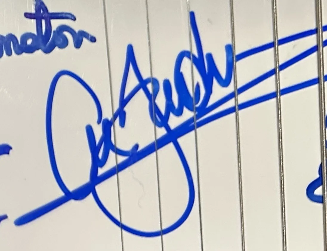 Beach Boys Signed Guitar Mike Love Al Jardin D Marks Bruce J. Autographed Guitar, изображение 5