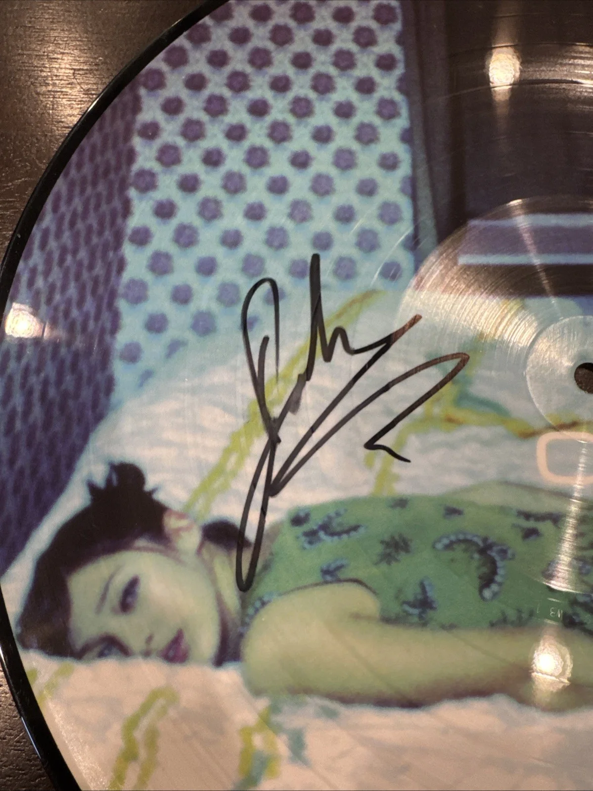 Signed Vinyl Picture Disc Autograph John Goo Goo Dolls Rare Music Pop Rock, изображение 2