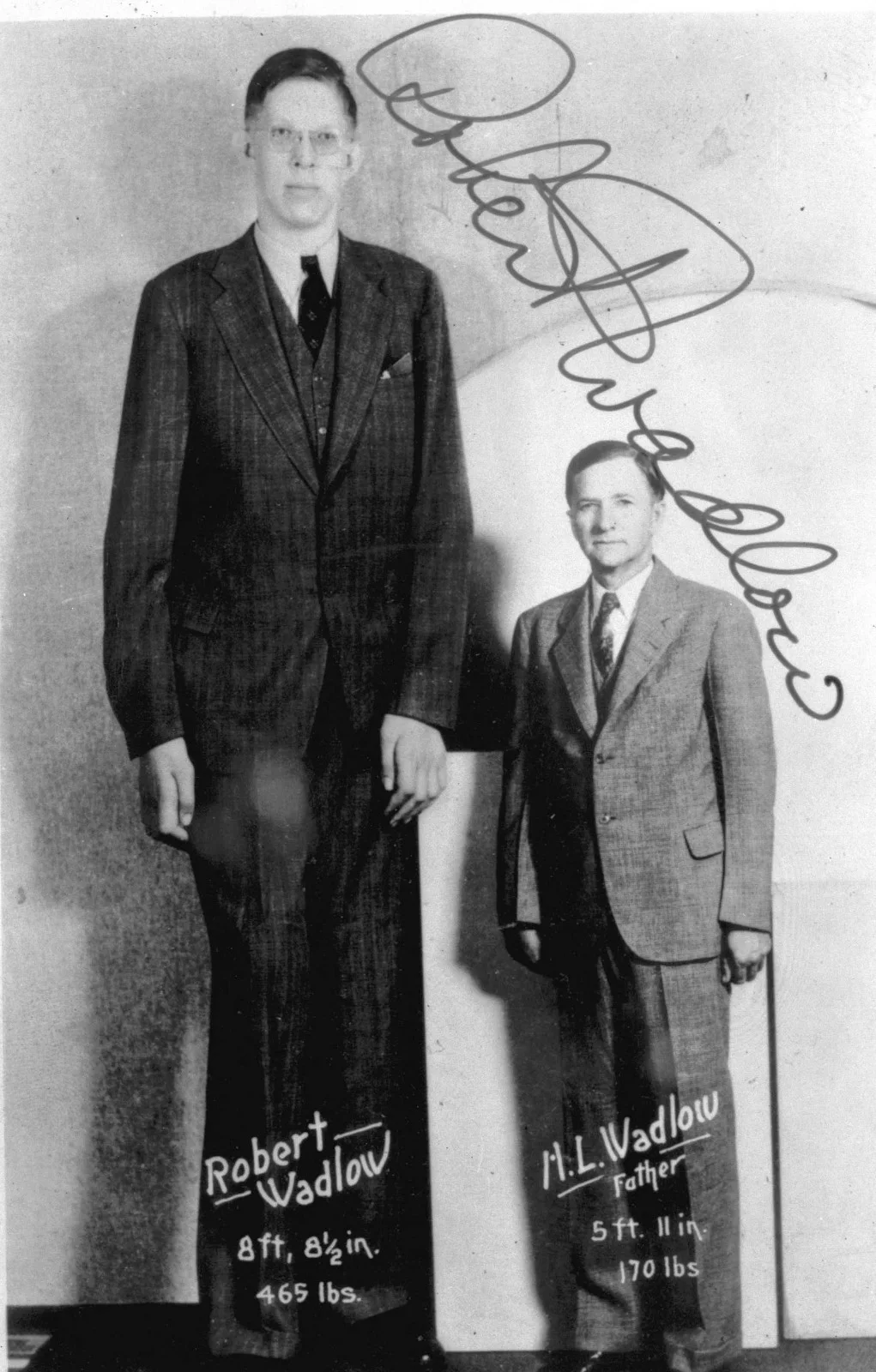 ROBERT WADLOW — ROBERT WADLOW DAD MOVIE 8.5X11 SIGNED PHOTO AUTOGRAPH POSTER WORLDS TALLEST MAN