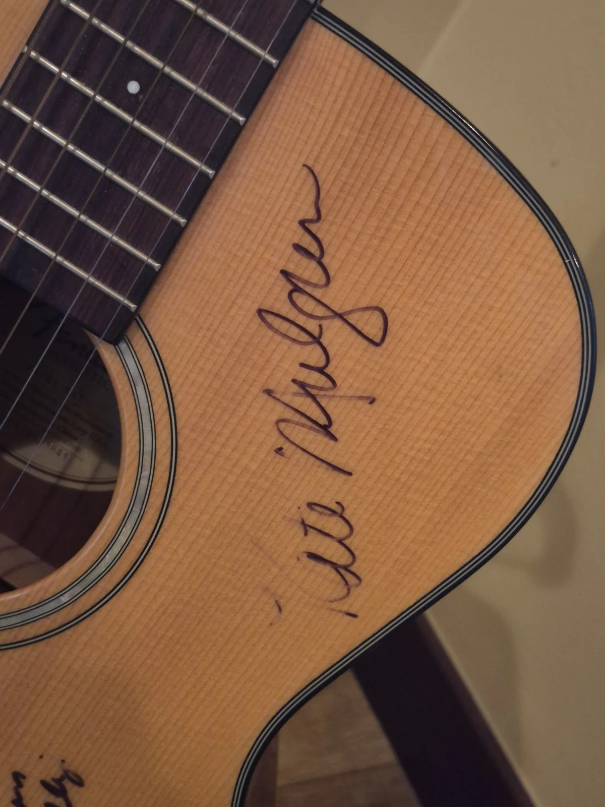 Fender Acoustic Guitar Signed by Star Trek Voyager Crew, image 4