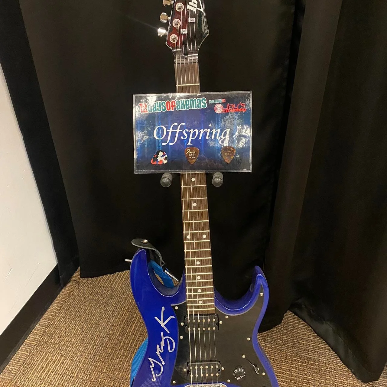 Offspring Autographed Ibanez, изображение 3