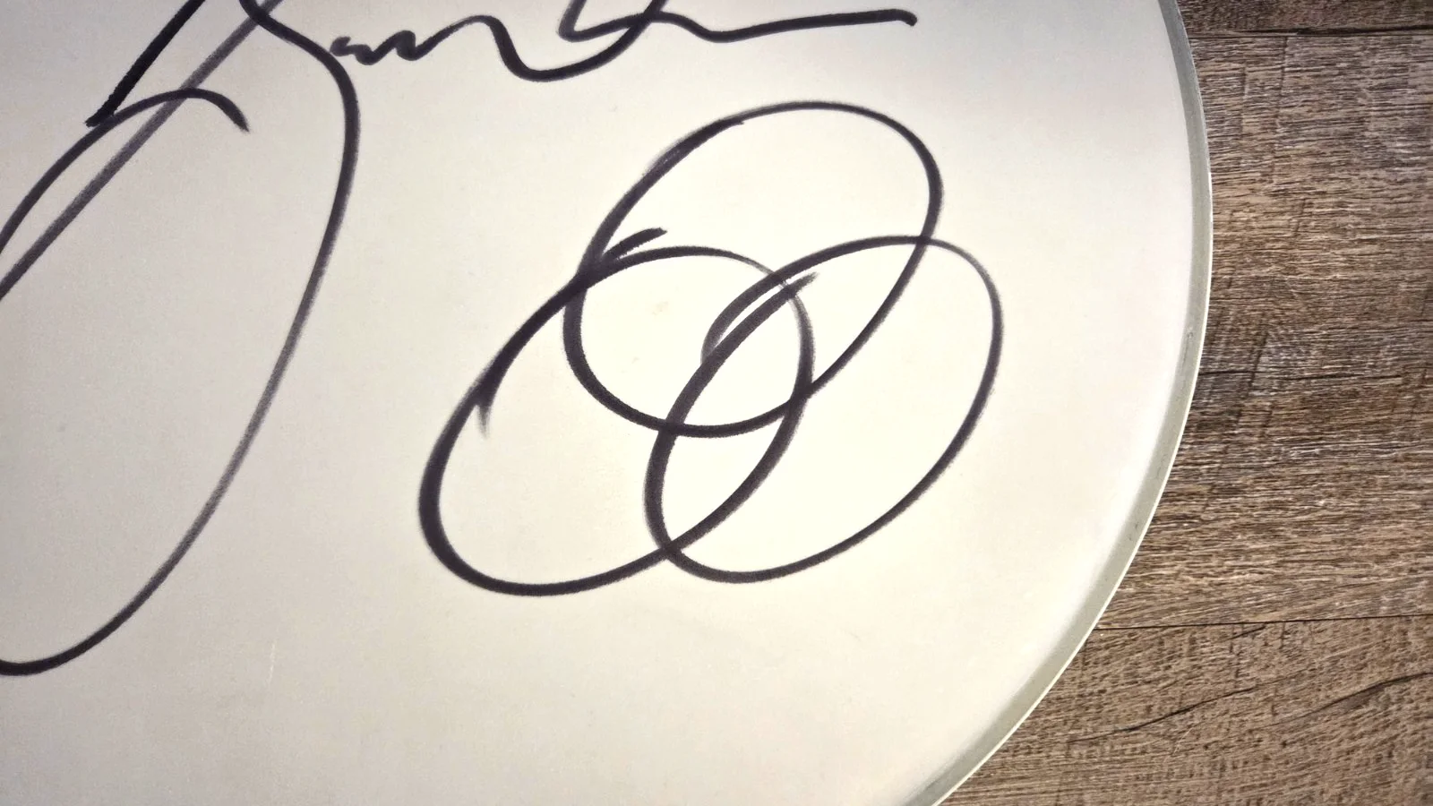 Authentic Jason Bonham Autographed 14" Remo Drum Head Led Zeppelin Sammy Hagar, image 2