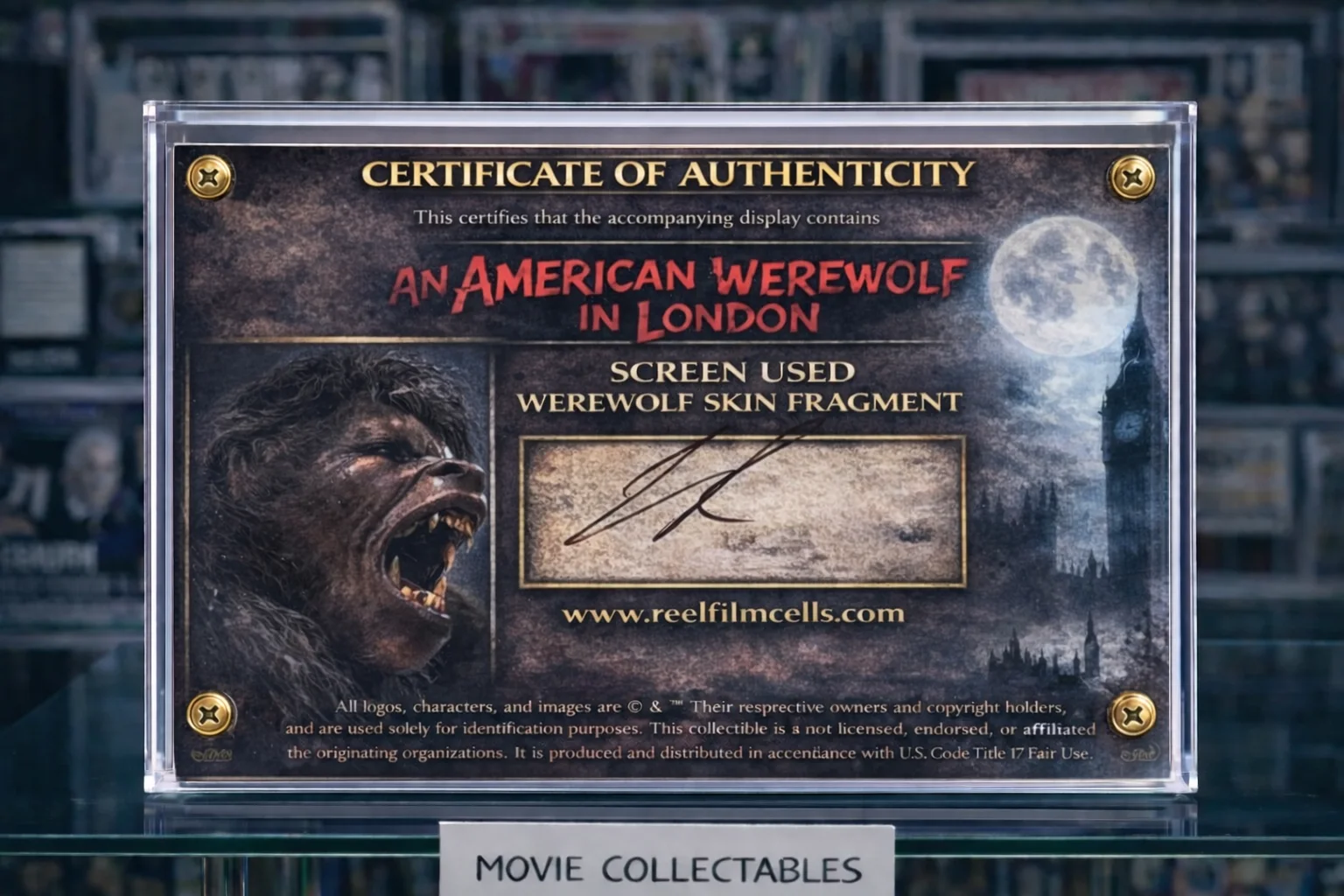 Screen Used Werewolf Skin – An American Werewolf in London Movie Prop + COA, изображение 2