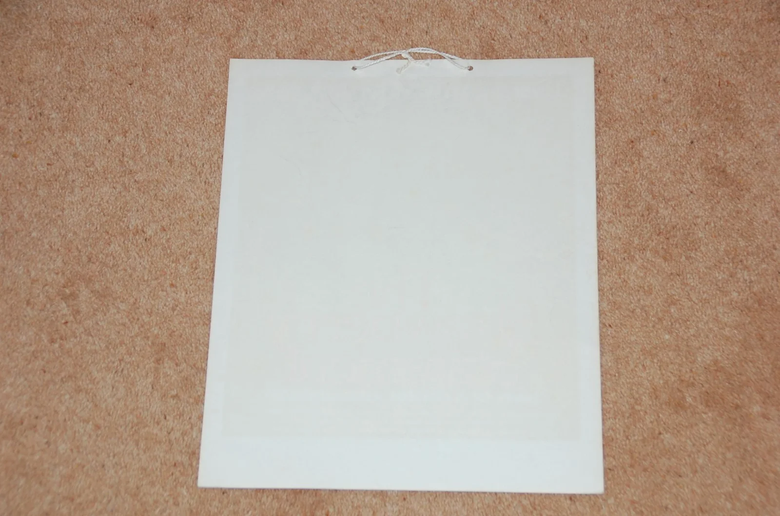 THE STRAWBERRY STATEMENT (1970) - RARE ORIG. UK BOX OFFICE HANGING CARD, image 4