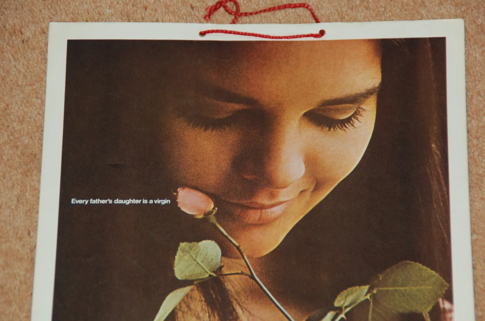 ALI MACGRAW in GOODBYE, COLUMBUS (1969) - RARE ORIG. UK BOX OFFICE HANGING CARD, изображение 2