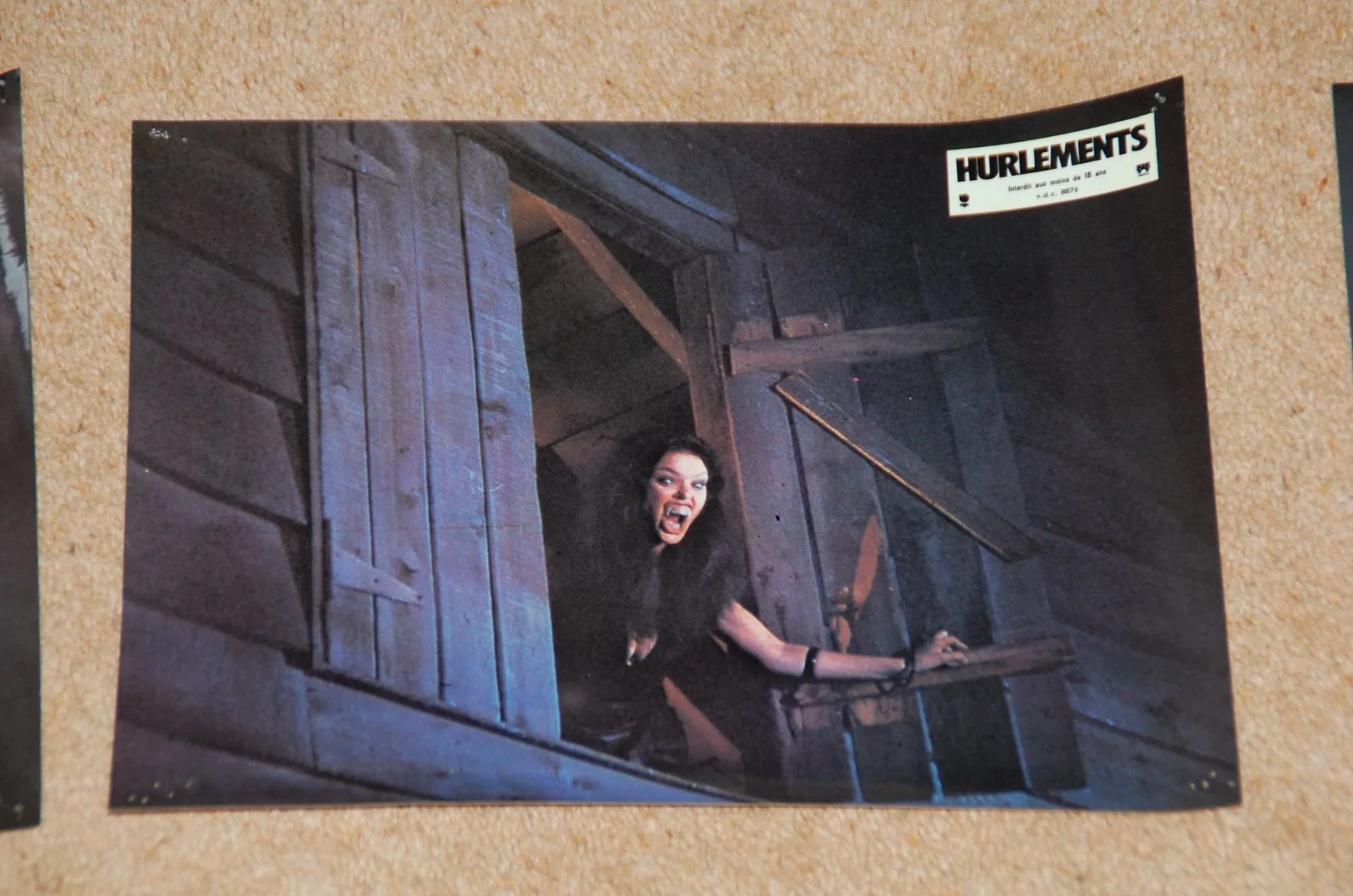 JOE DANTE'S THE HOWLING (1981) - 16 RARE ORIG. FRENCH/BELGIUM LOBBY CARDS, изображение 4