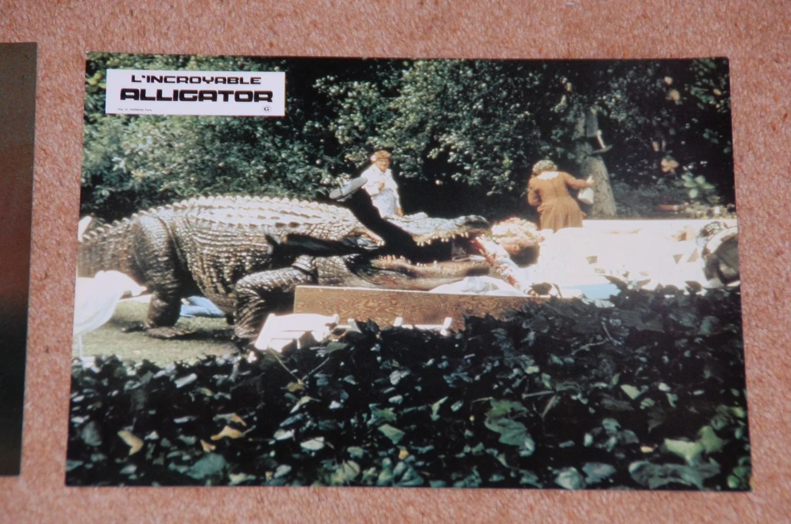 ROBERT FORSTER - ALLIGATOR (1980) - RARE ORIG. FRENCH LOBBY CARD SET - EX. COND., image 2