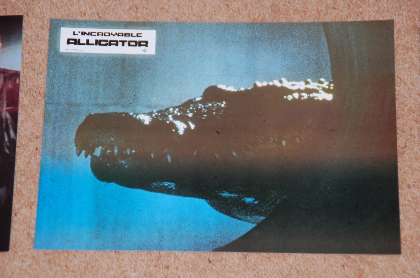 ROBERT FORSTER - ALLIGATOR (1980) - RARE ORIG. FRENCH LOBBY CARD SET - EX. COND., image 3