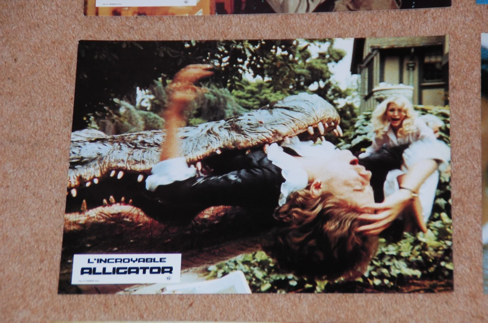 ROBERT FORSTER - ALLIGATOR (1980) - RARE ORIG. FRENCH LOBBY CARD SET - EX. COND., image 5